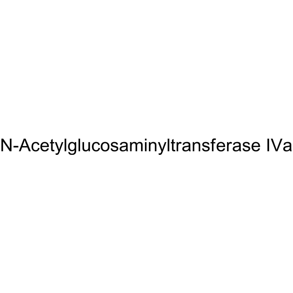 N-Acetylglucosaminyltransferase IVa